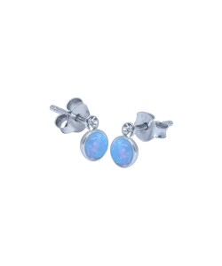 Silver Stud Earring STS-5954